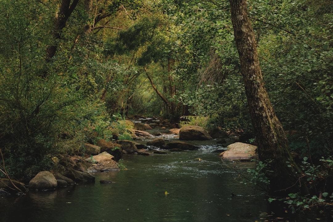 Serve the Right Image Size for Every Device